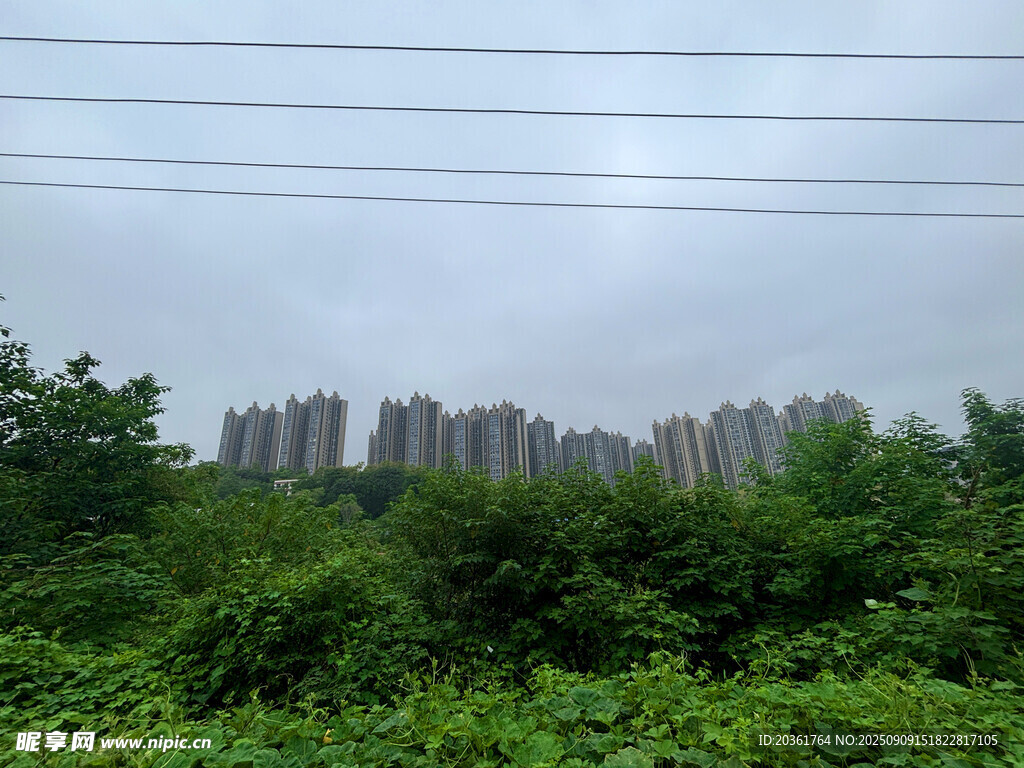綠樹掩映下的城市建筑群