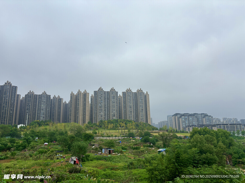 城市邊緣的綠植與高樓景觀