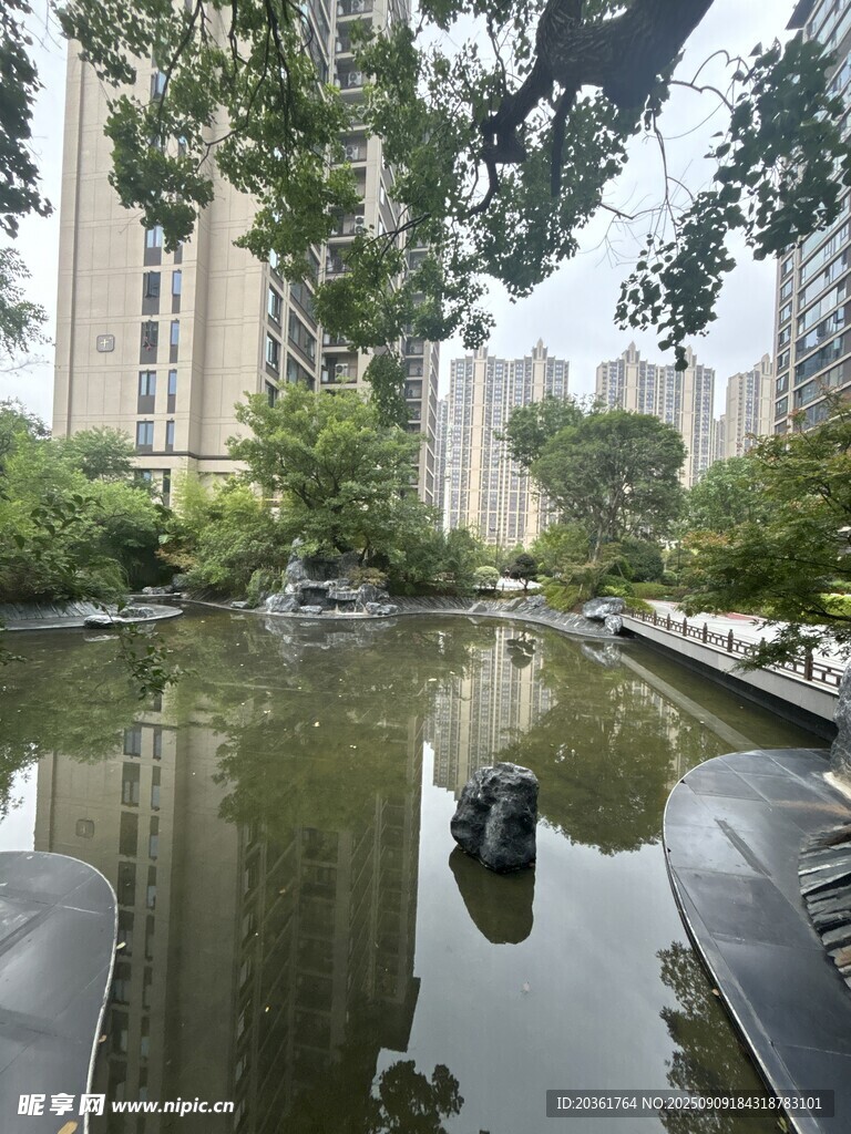 城市中的靜謐水景公園