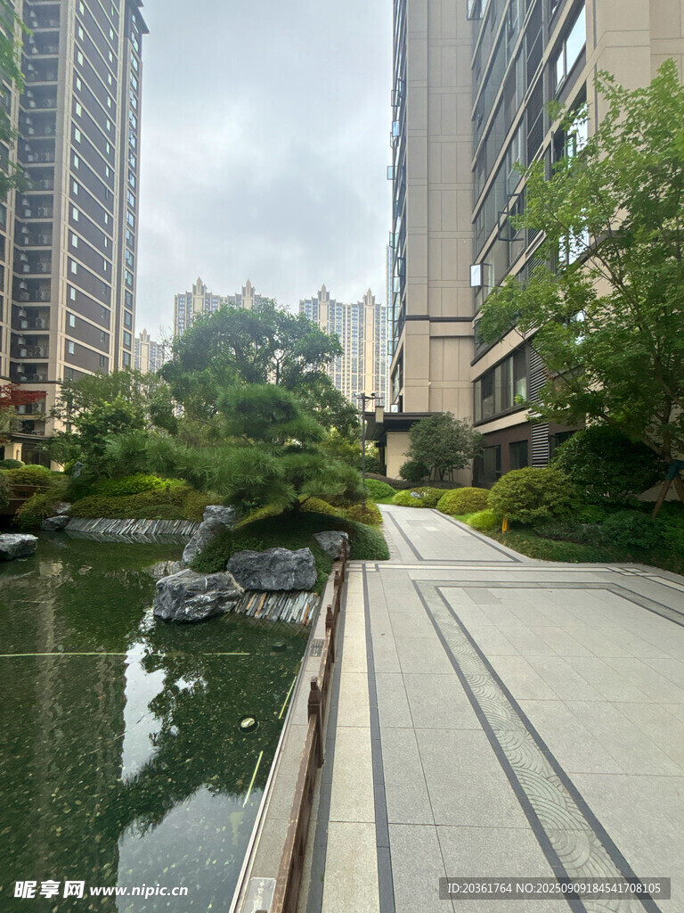城市中的靜謐水景步道