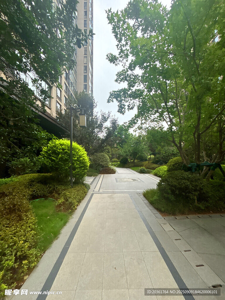 小區(qū)內(nèi)的林蔭步道景觀