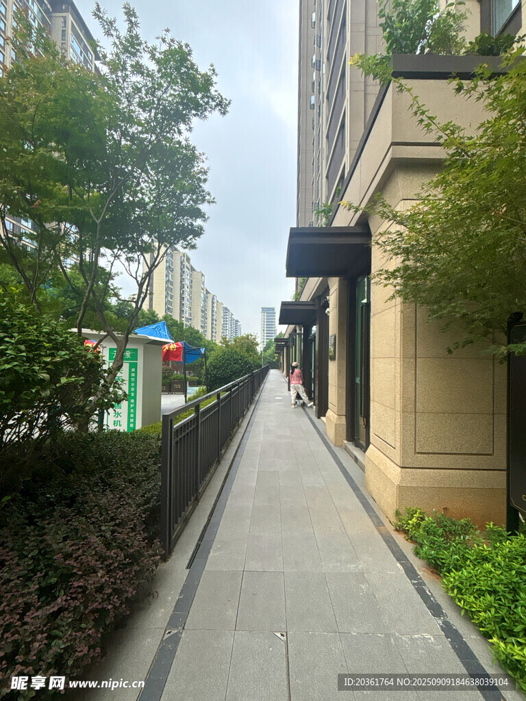 城市街道旁的綠植人行道