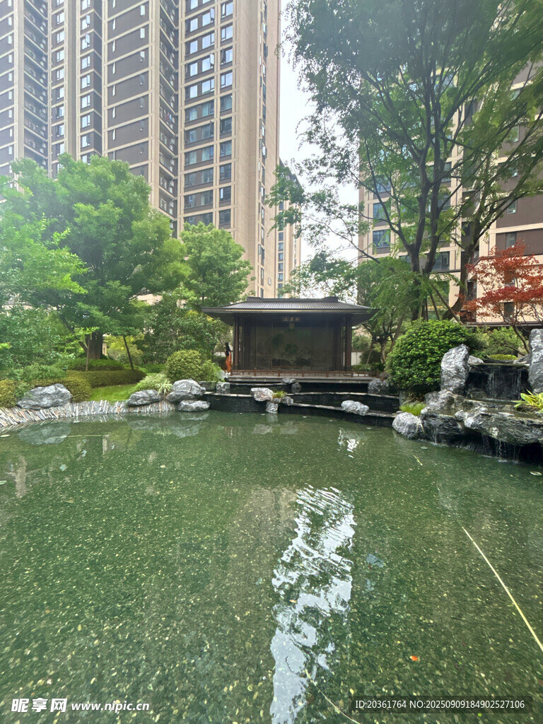 城市中的靜謐中式景觀池