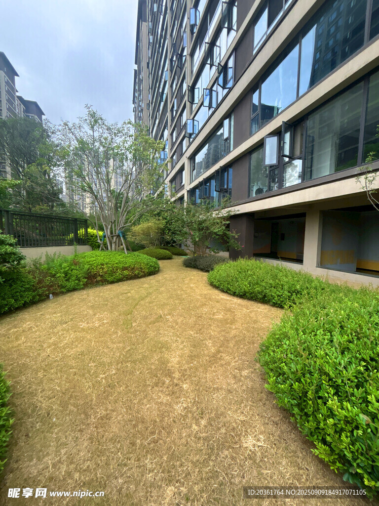 都市庭院中的綠植小徑