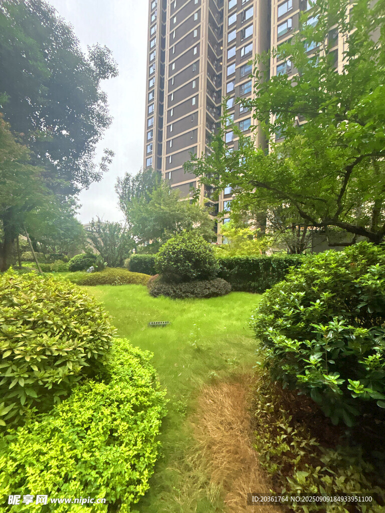 城市中的綠意花園小徑