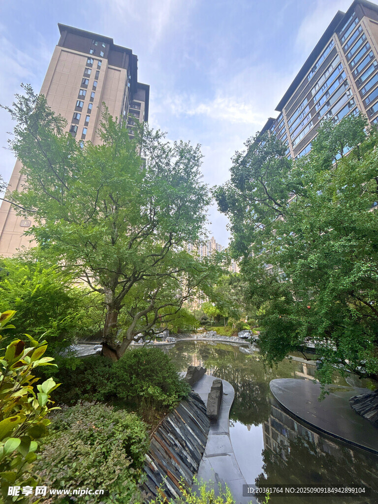 城市中的靜謐綠植水景