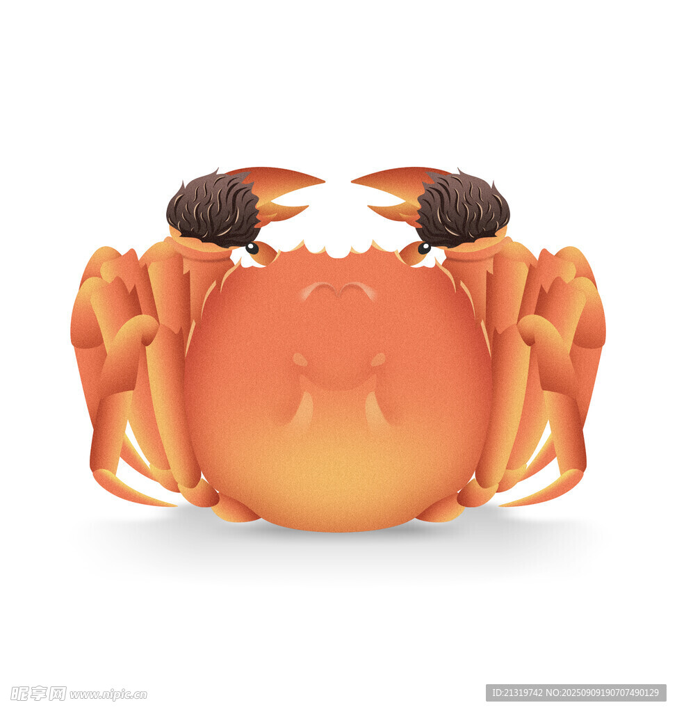 大閘蟹插畫