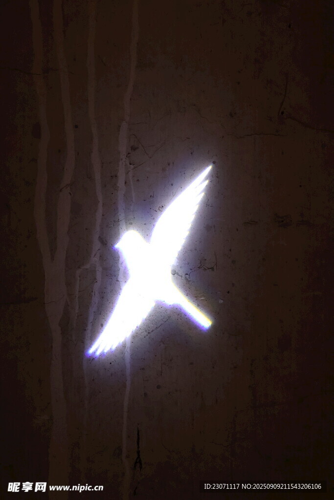 夜空中發(fā)光的飛鳥