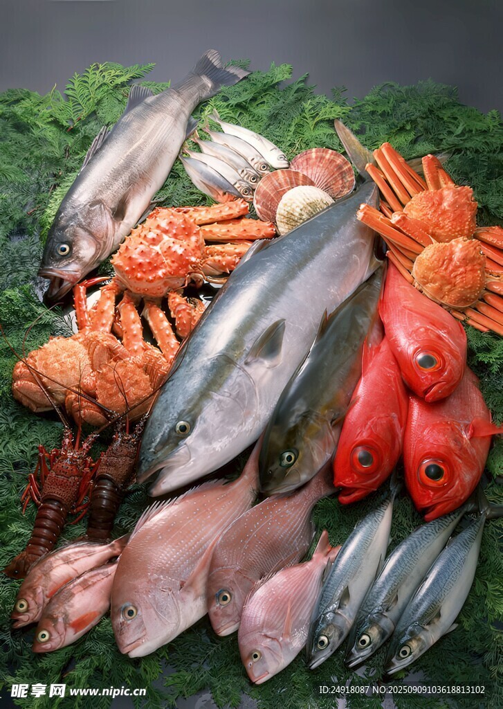 多樣海鮮 海鮮照片