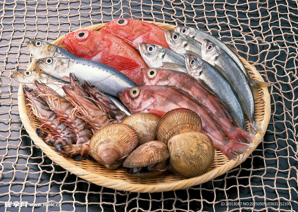 海鮮圖片 海魚(yú) 