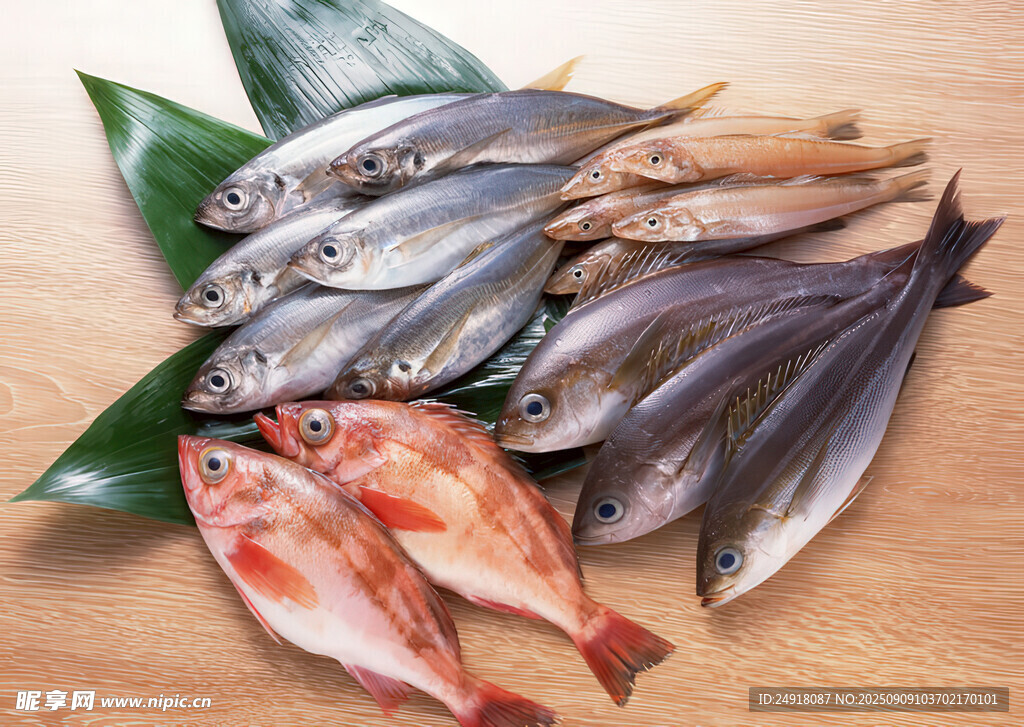 多樣鮮魚 海鮮圖片 海鮮美食