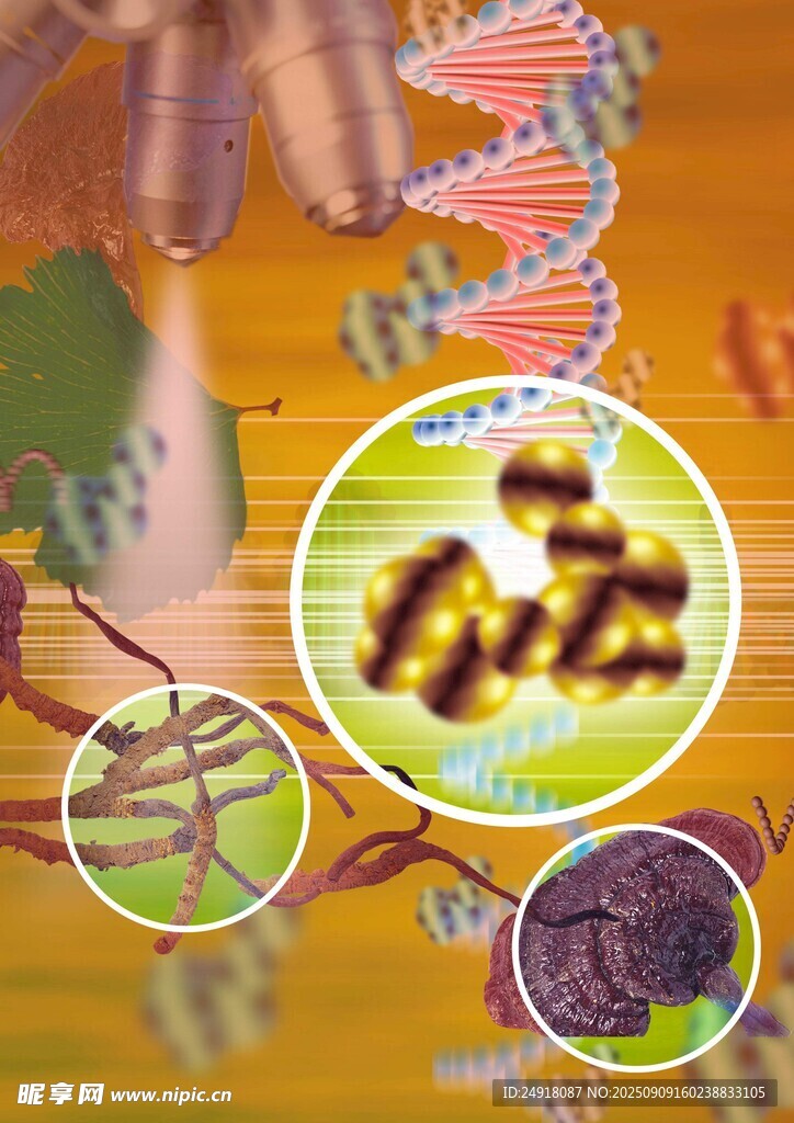 基因探索 生物背景