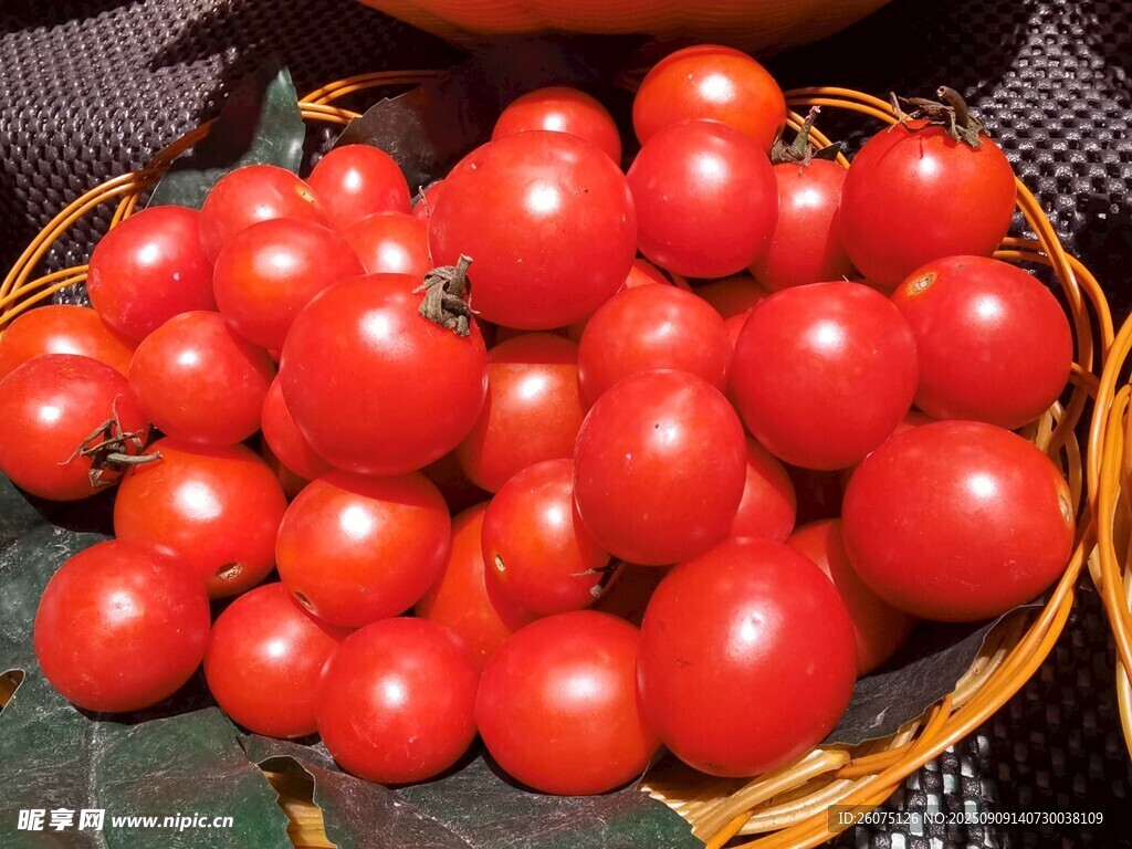 籃子里的新鮮紅番茄