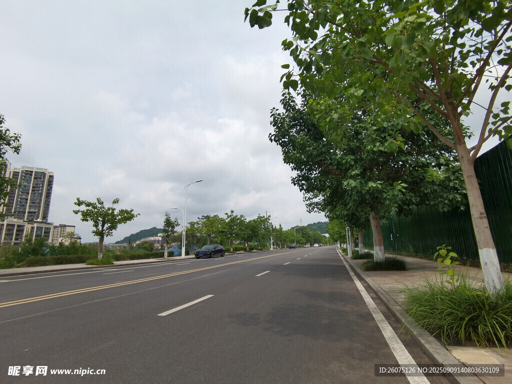 寬闊城市道路及路旁綠樹