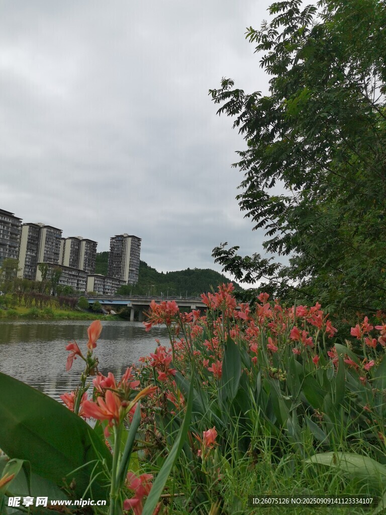 湖畔繁花與遠(yuǎn)處建筑景觀