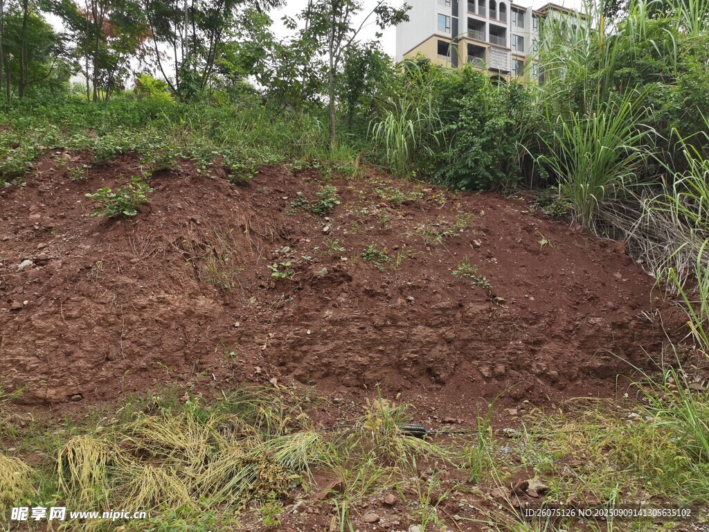 山坡上的裸露泥土與植被