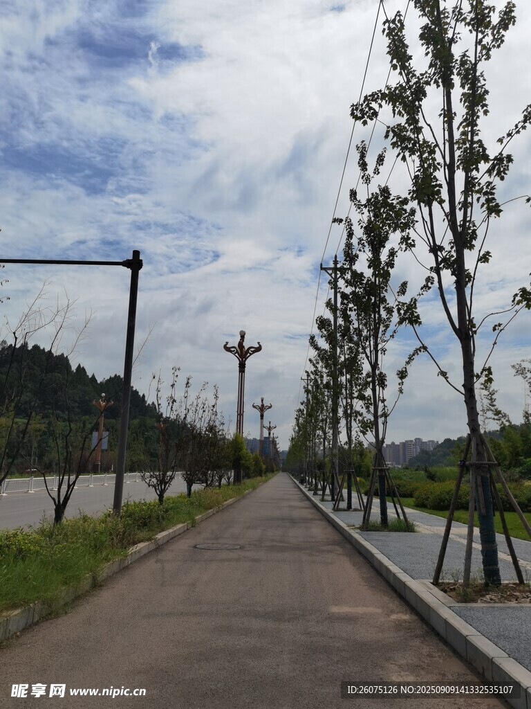 林蔭小道清新戶外景致