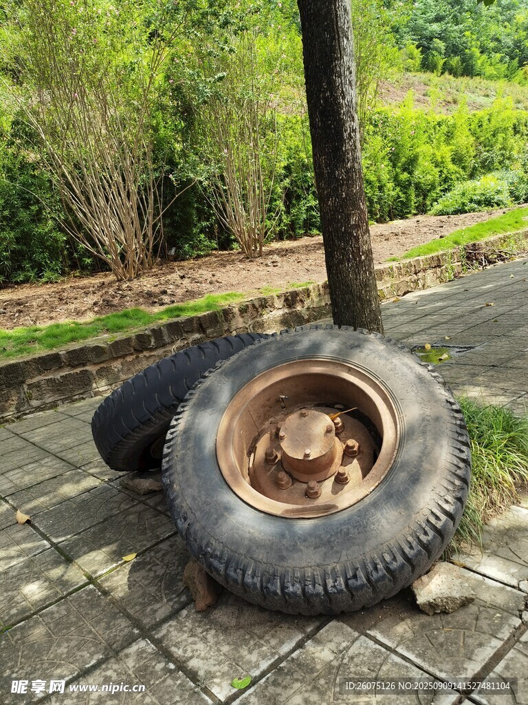 廢棄輪胎置于樹下場景