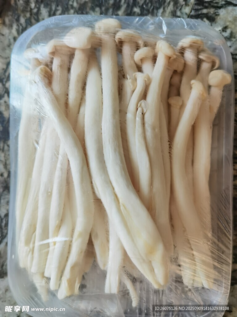 新鮮海鮮菇包裝展示
