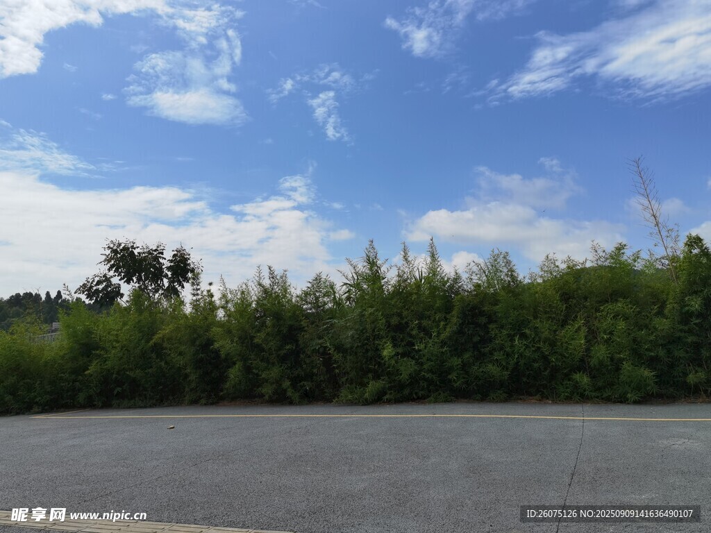 藍(lán)天白云下的綠植與路面