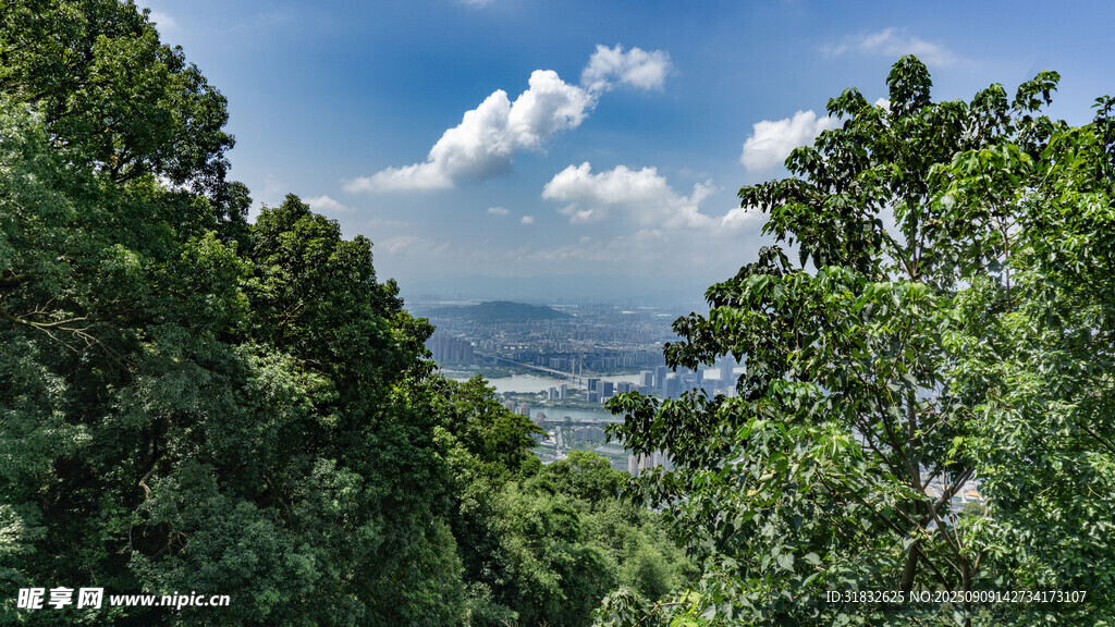 山林間遠眺藍天美景