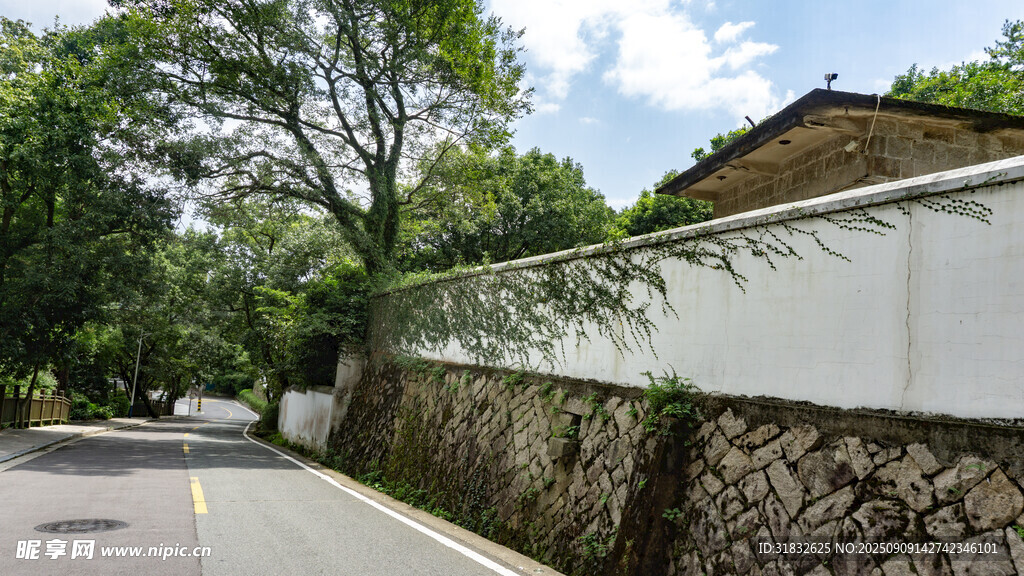 路邊白墻綠樹風景