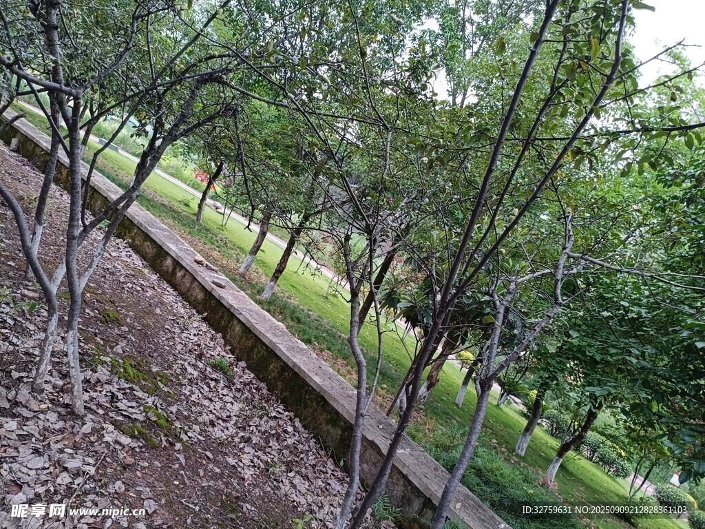 林間小徑