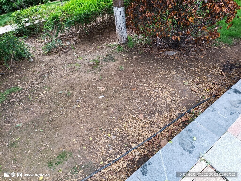 戶(hù)外裸露泥土的花園一角