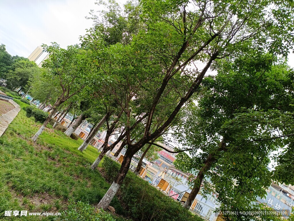 綠樹成蔭的戶外風(fēng)景