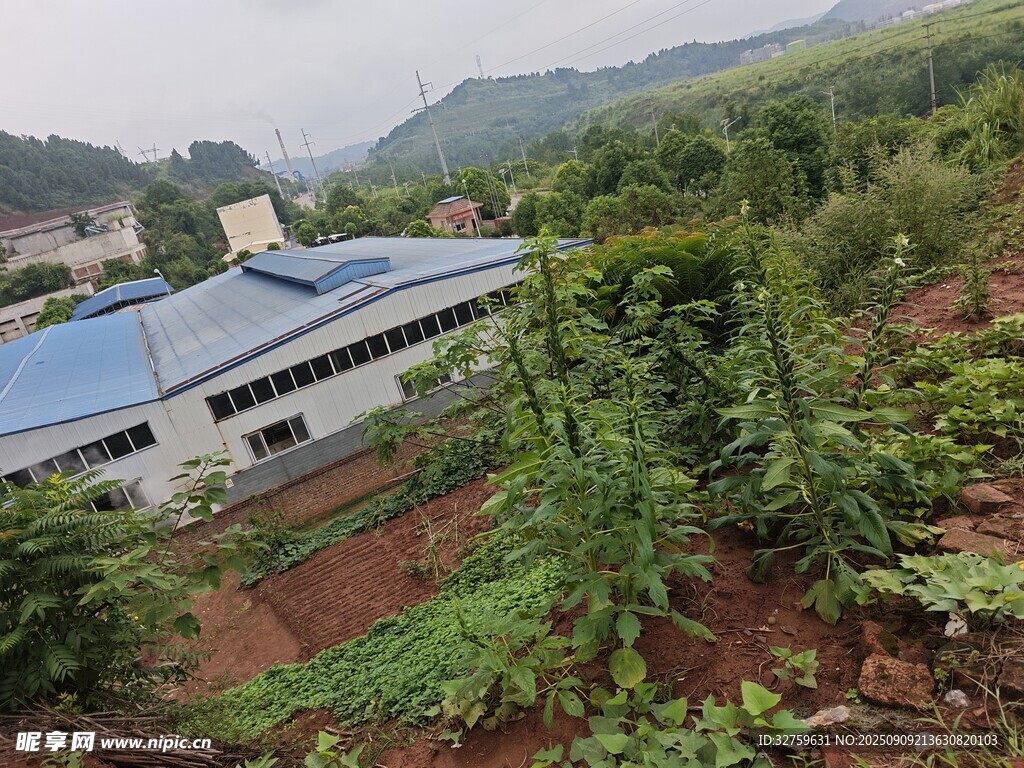 山間工廠與繁茂植被景觀