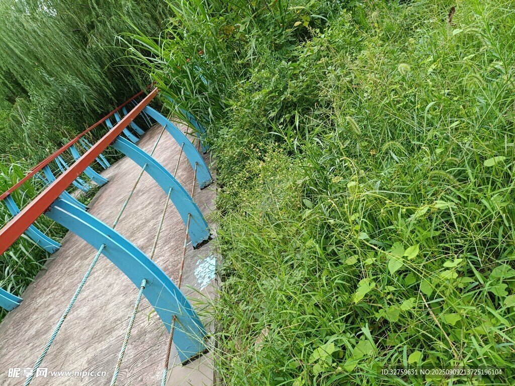 戶(hù)外綠植環(huán)繞的彩色步道