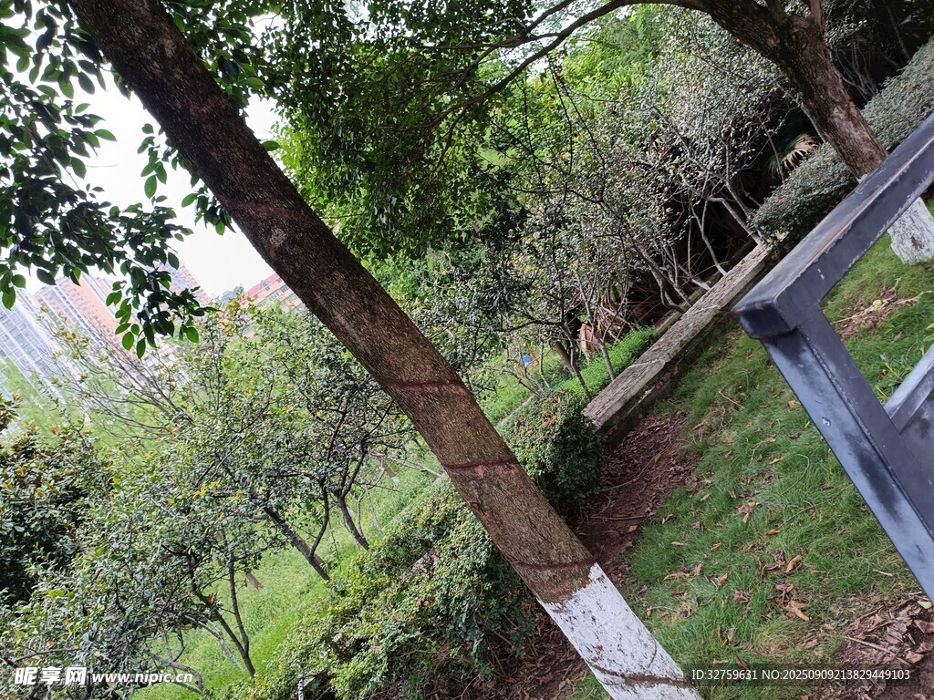 公園內(nèi)的綠樹與休閑設(shè)施
