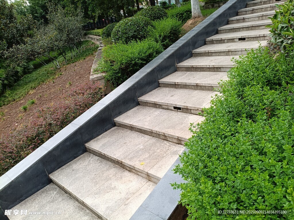戶外石階旁綠植景觀