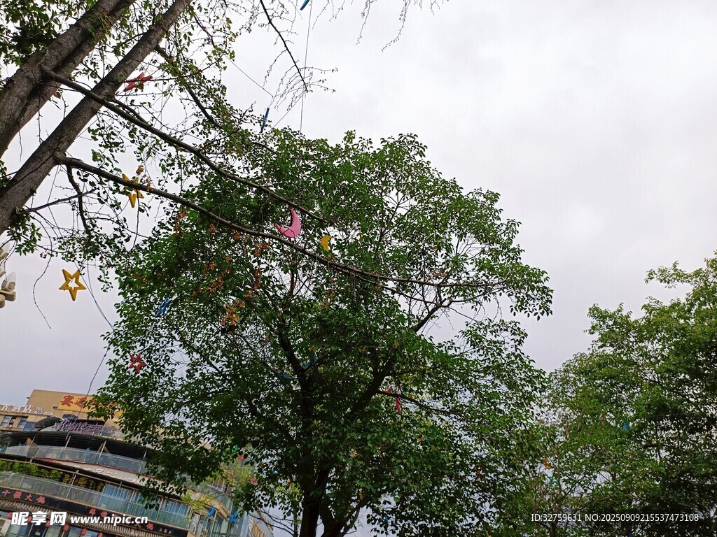 綠樹掩映下的建筑一角