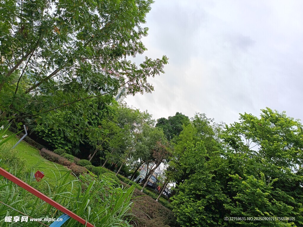綠意盎然的戶外自然景致