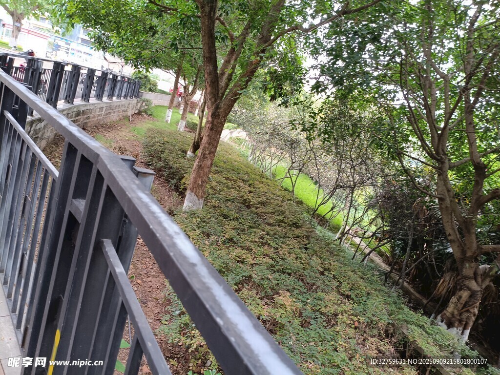 戶外林間的護(hù)欄景觀