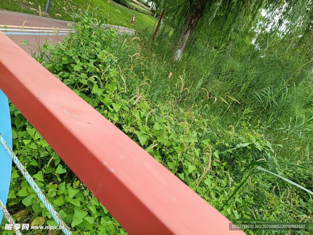 紅色欄桿旁的蔥郁綠植