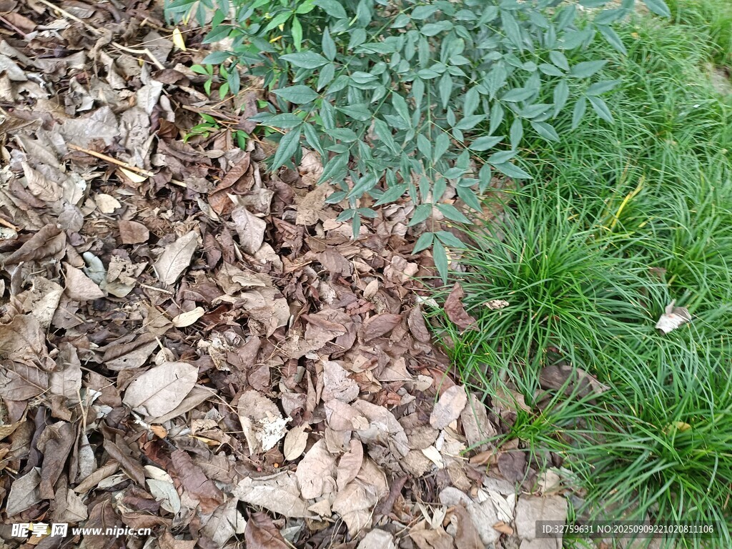 草地旁的碎石景觀