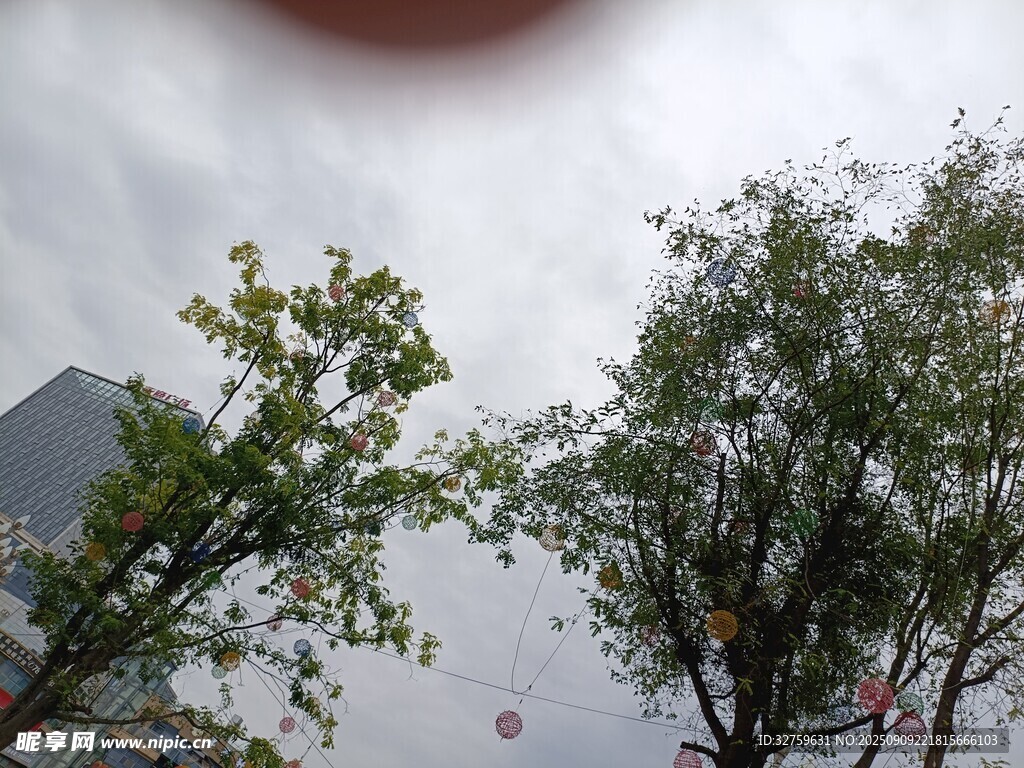 雨中樹木與建筑物景觀