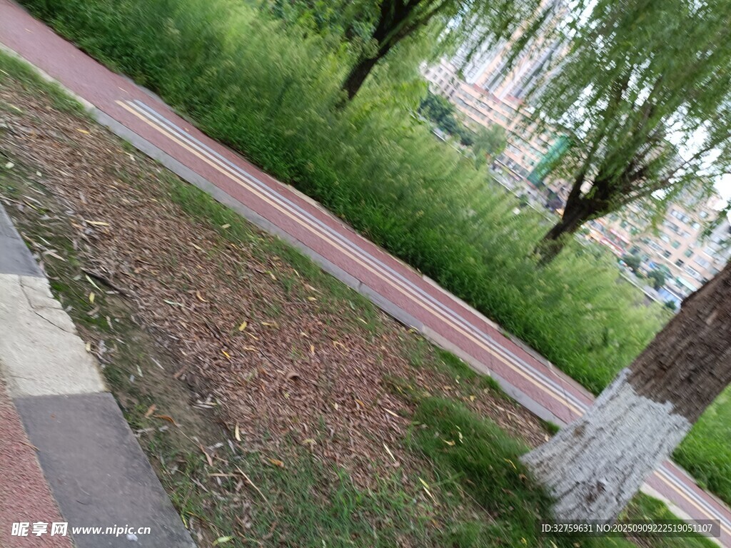 城市街邊的綠植景觀(guān)