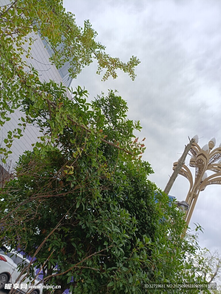 綠植掩映下的奇特建筑