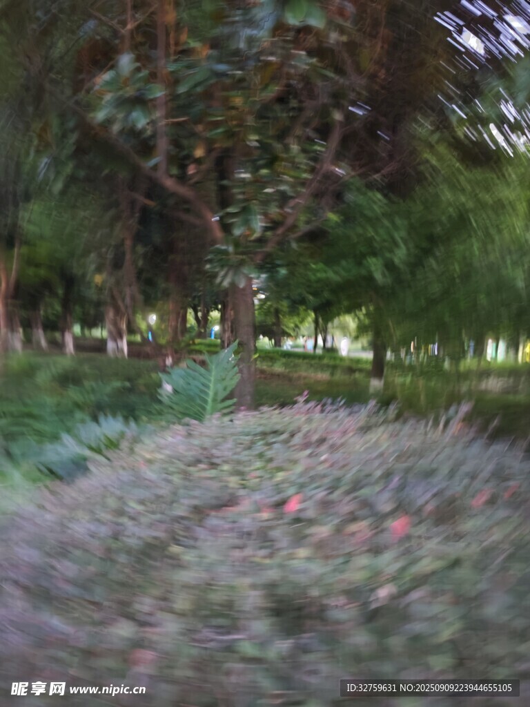 夢幻花園綠植景觀