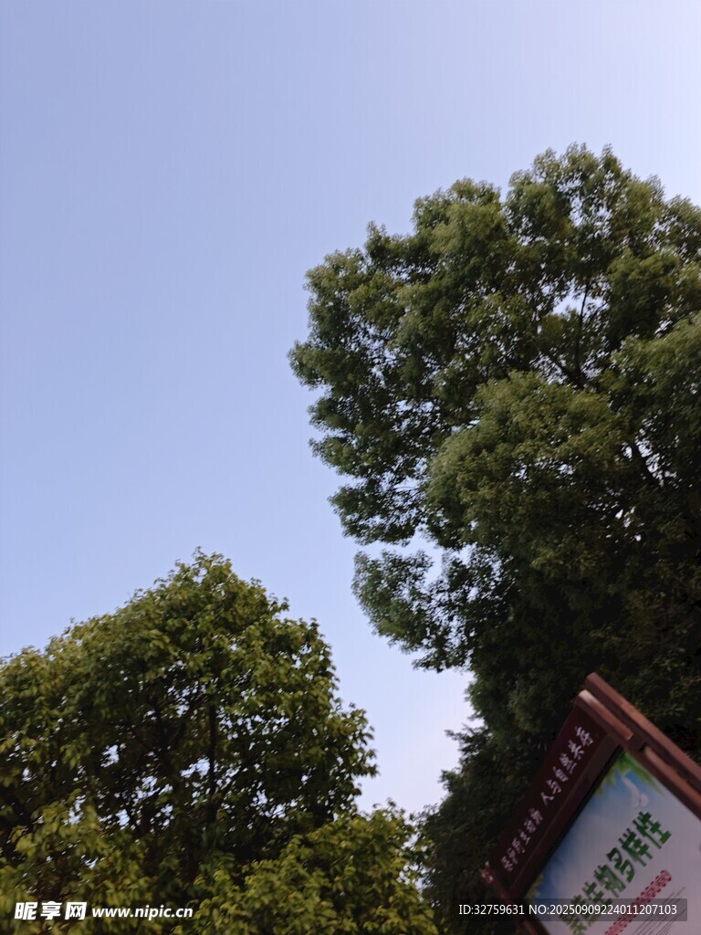 綠樹掩映下的建筑一角