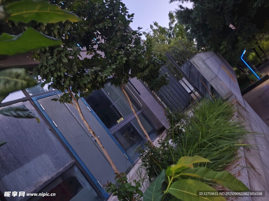 戶外綠植旁的建筑景觀