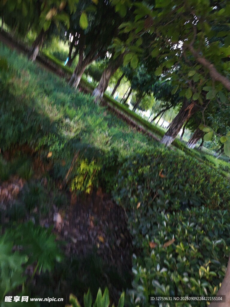 俯瞰綠意盎然的園林景觀