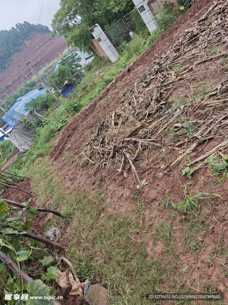 農(nóng)田里翻耕后的雜亂景象