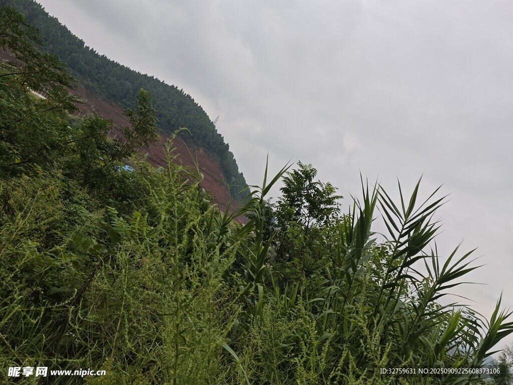 山間蔥郁植被與遠處山巒