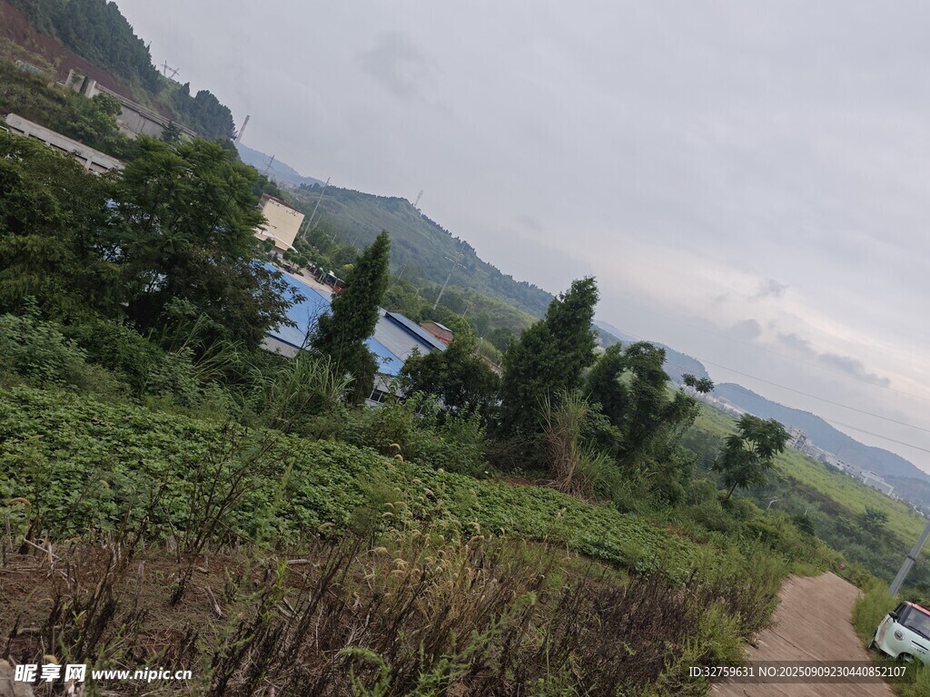 山間茶園小路風(fēng)景