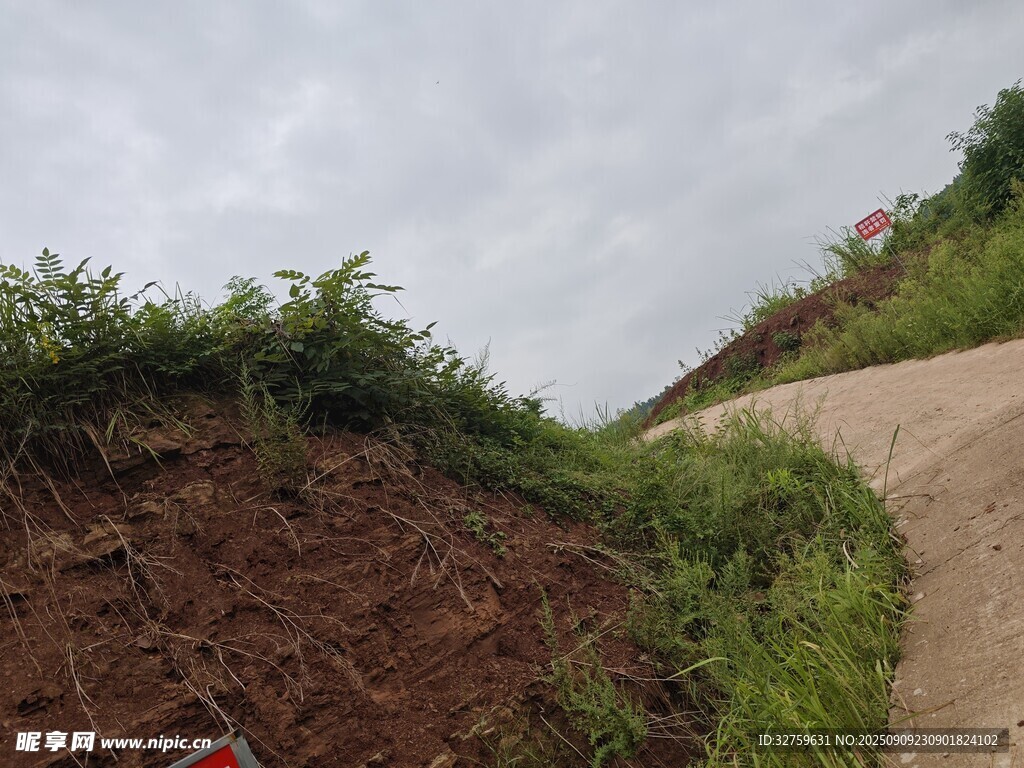 山間土路旁的植被景觀