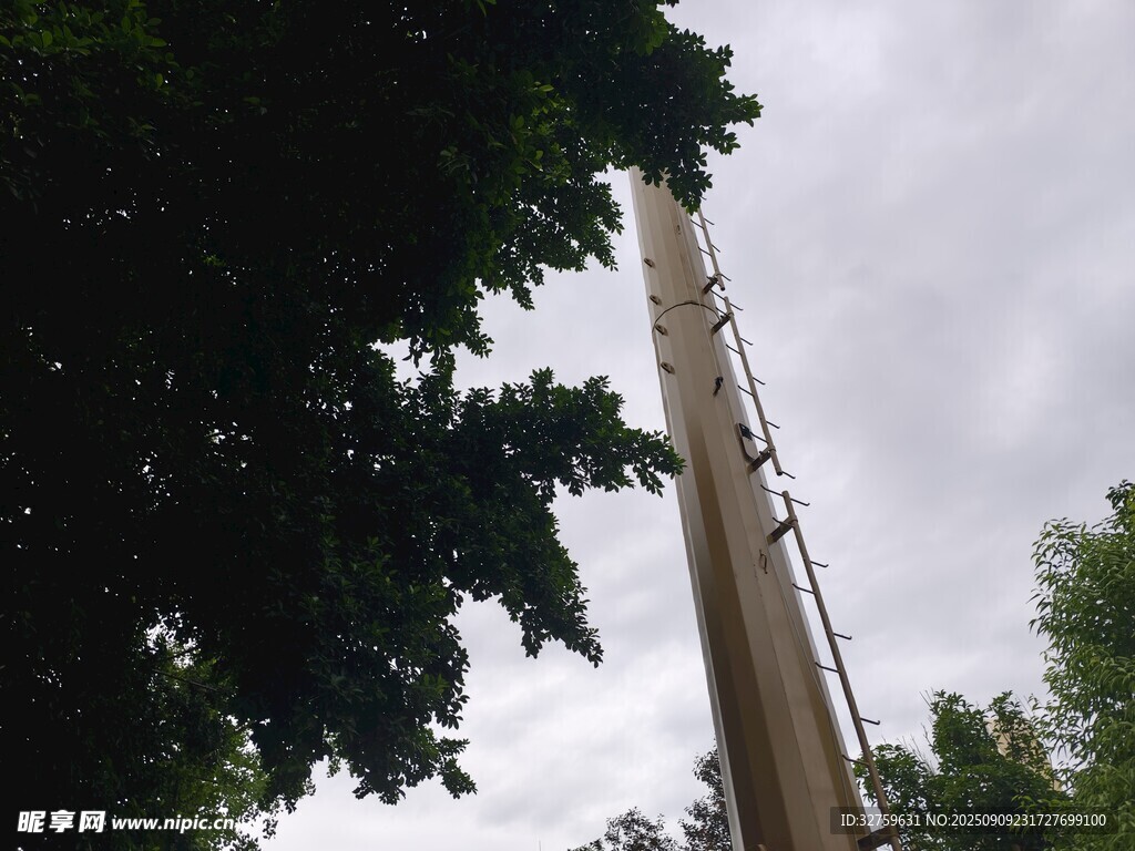 高聳塔吊立于綠樹間